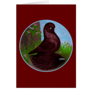 Red Tumbler Pigeon Circle