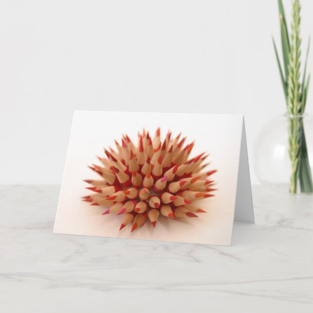 Red urchin card (Front)