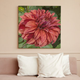 Red Variegated Dahlia Bloom Floral Canvas Print