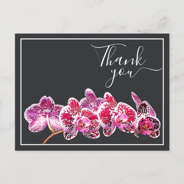 Red Veined Orchid Against Grey Backdrop Thank You Postcard (Front)