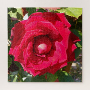 Red Velvet Bud Jigsaw Puzzle