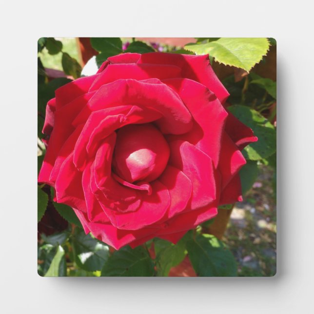 Red Velvet Bud Plaque (Front)