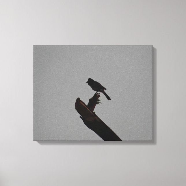 Red-vented Bulbul in Silhouette Stylish Photograph Canvas Print (Front)