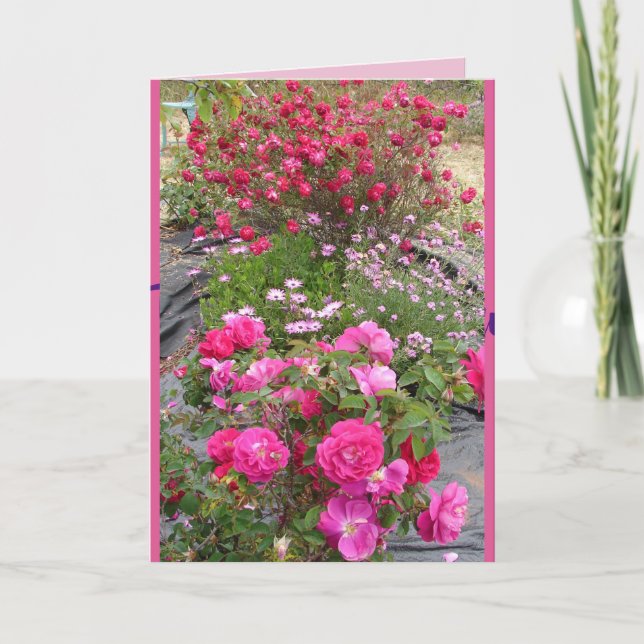 Red Vintage Roses Rose Garden flowers Card (Front)