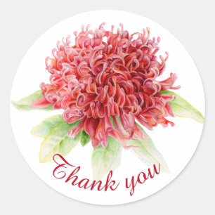 Red waratah botanical thank you wedding sticker