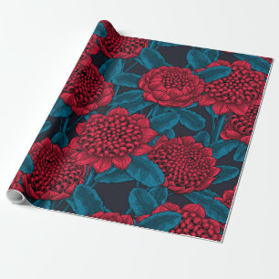 Red waratah flowers wrapping paper