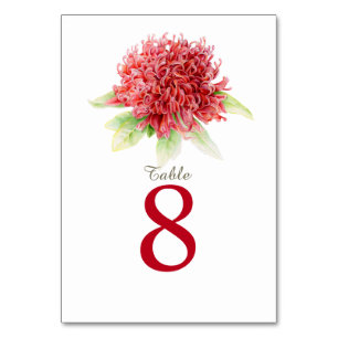 Red waratah watercolor wedding table numbers