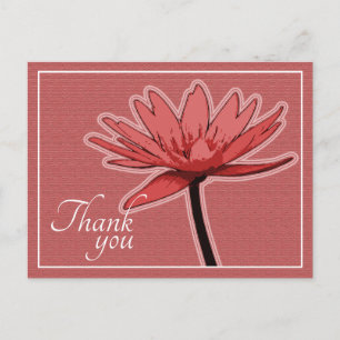Red Water Lily Against Pink Background Thank You Postcard