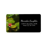 Red Water Lily Blossom Impressionistic Digital Art