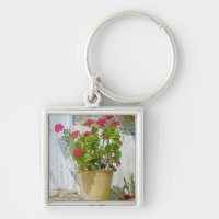 Red watercolor geranium