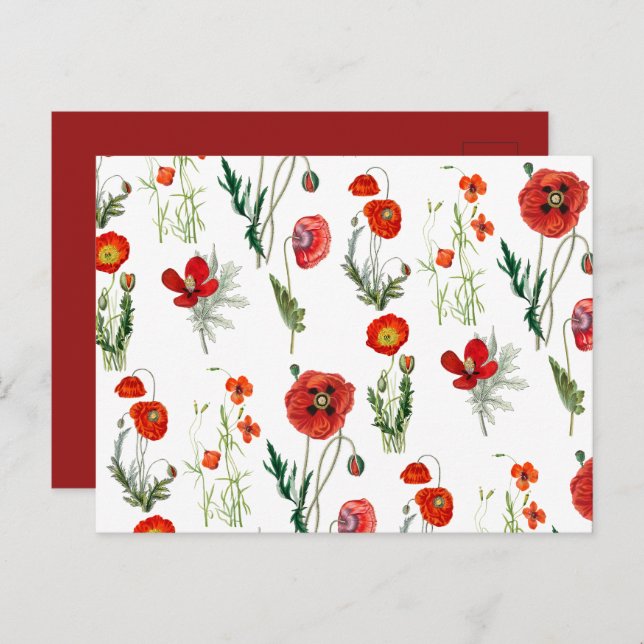 Red Watercolor Poppies Florals Holiday Postcard (Front/Back)