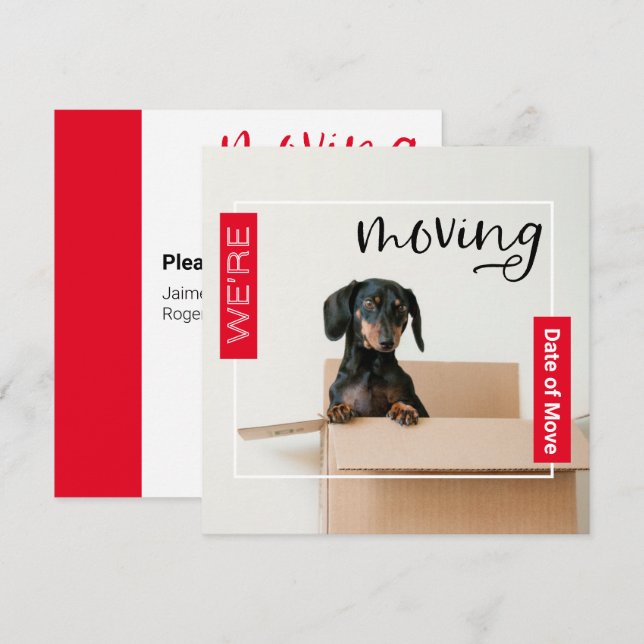 Red We're Moving Dachshund Dog in Box Card (Front/Back)