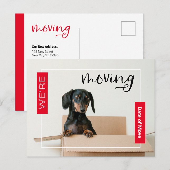 Red We're Moving Dachshund Dog in Box Postcard (Front/Back)
