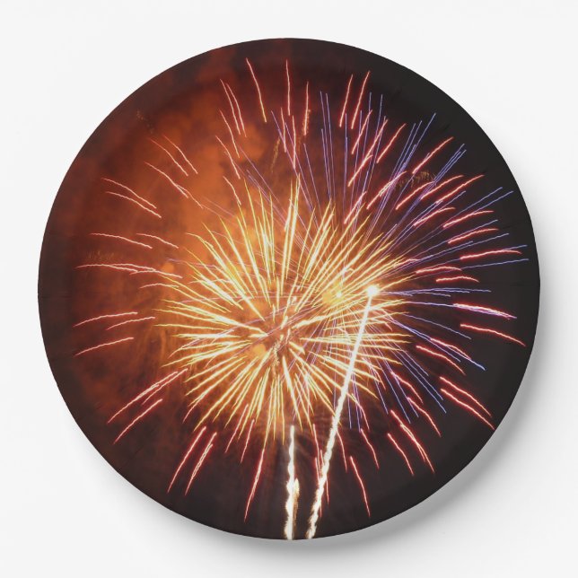 Red, White and Blue Fireworks I Patriotic Paper Plate (Front)