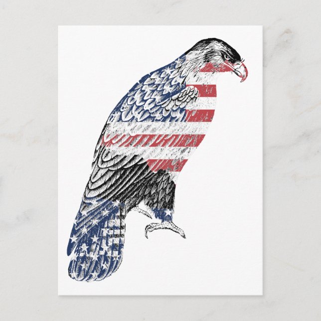 Red White And Blue USA Patriotic Eagle Art  Postcard (Front)