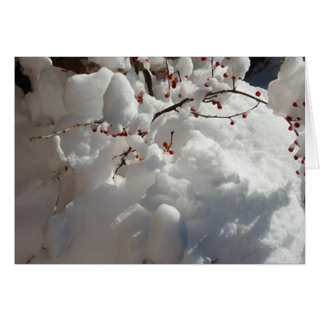 Red, White and Cold (Front Horizontal)