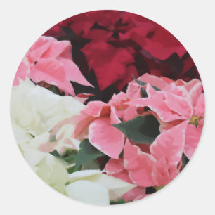Red White and Pink Winter Poinsettia flower paint Classic Round Sticker