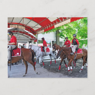 RED- WHITE & BAY POSTCARD