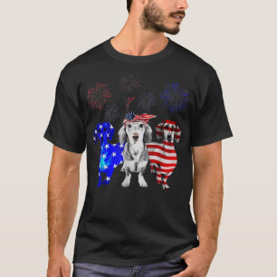 Red White Blue Dachshund USA Flag Firework 4th Of T-Shirt