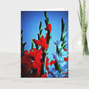 Red, white & blue flowers card
