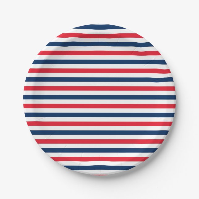 Red White & Blue Fun Family Friends Celebration Paper Plate (Front)