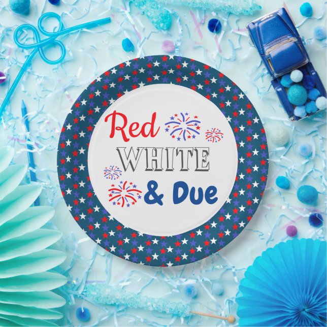 Red White & Due Baby Shower Paper Plate (Party)