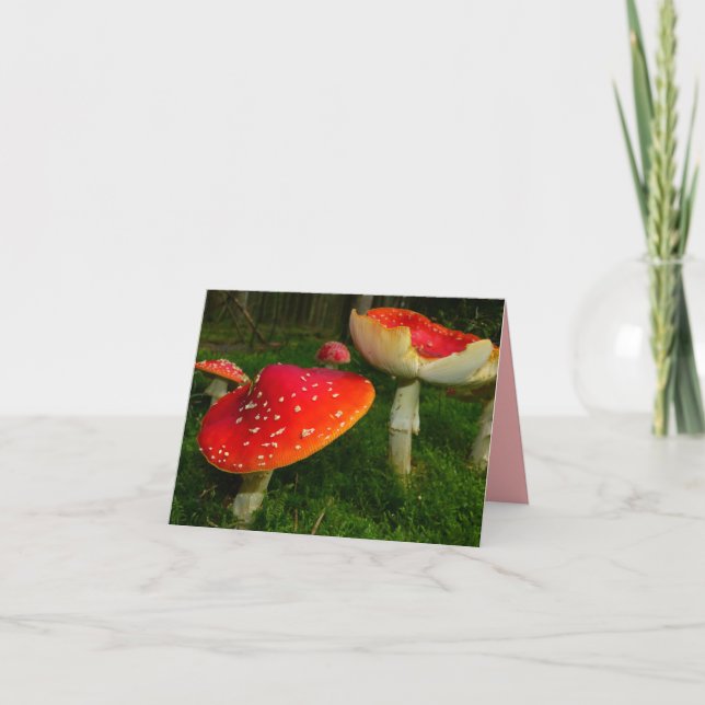 Red White Mushrooms Blank Photo Note Card (Front)