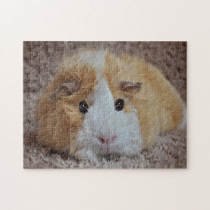 Red & White Pet Guinea Pig Jigsaw Puzzle