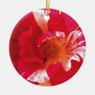 Red & White Rose Photo Circle Ornament