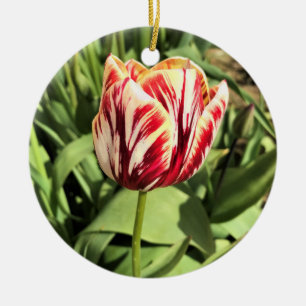 Red & White Tulip Ceramic Ornament