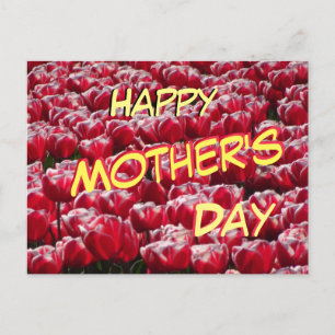 Red White Tulips Pattern Mother's Day Postcard