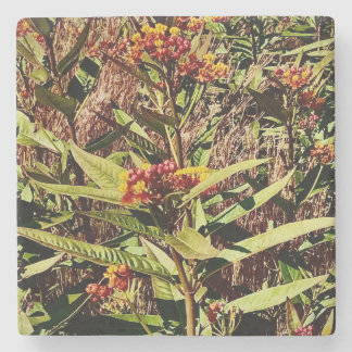 RED WI WILDFLOWER in FALL Stone Coaster