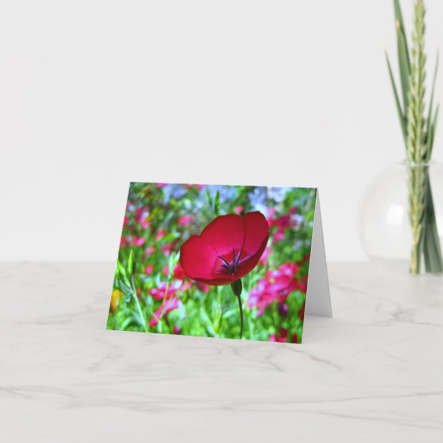 Red Wildflower Greeting Card (Front)
