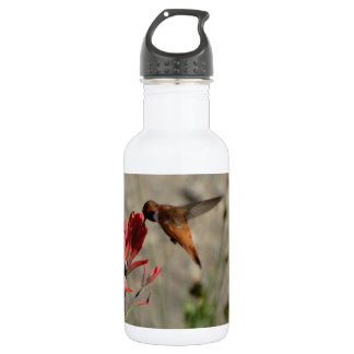 Red wildflower hummingbird 532 ml water bottle