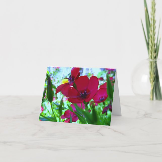 Red Wildflowers Greeting Card (Front)