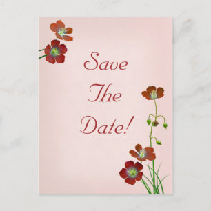 Red Wildflowers on Pink Wedding Save The Date Announcement Postcard