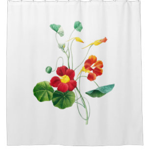 Red Willow II Reverie: Vintage Botanical