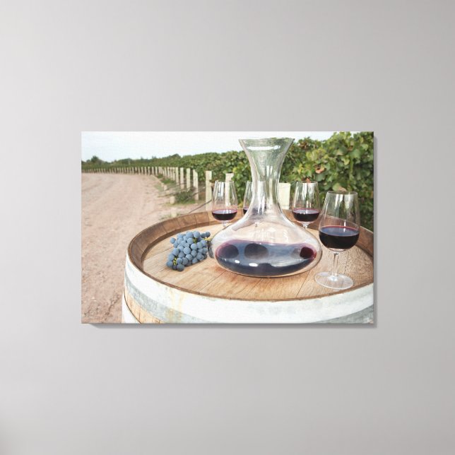 Red Wine In Vineyard Canvas Print (Front)