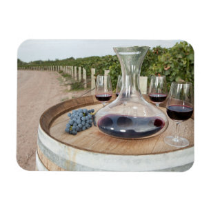 Red Wine In Vineyard Magnet