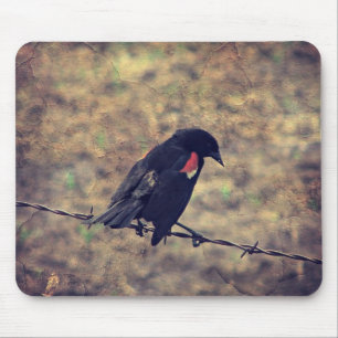 Red Wing Blackbird on Barbed Wire Mouse Pad