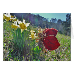 red wing fairy and daffodils