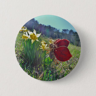 red wing fairy and daffodils 2 inch round button