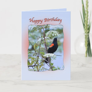 Red-winged Black Bird Birthday Card