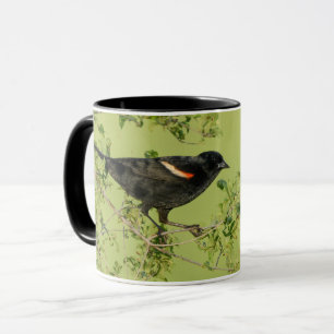 red winged black bird blackbird green background mug