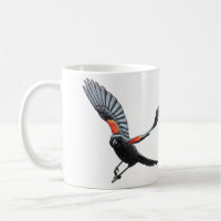 Red-Winged Black Bird