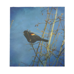 Red-Winged Black Bird singing Notepad