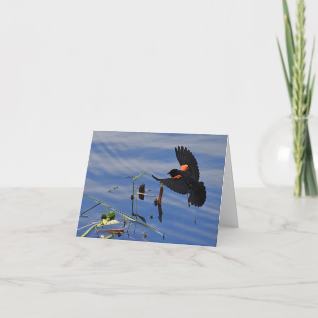 Red-winged Blackbird #1 - Blank Note Card (Front)