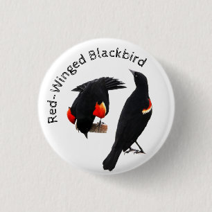 Red-Winged Blackbird 1 Inch Round Button