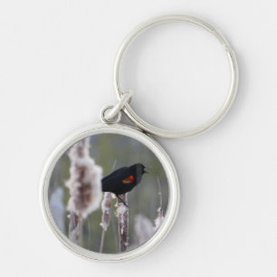 Red-winged Blackbird  (Agelaius phoeniceus) Keychain