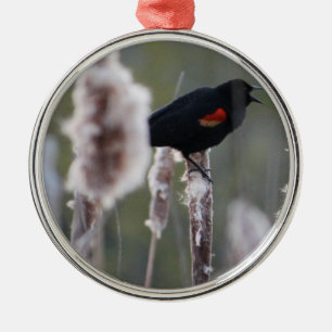 Red-winged Blackbird  (Agelaius phoeniceus) Metal Ornament